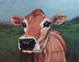 by Sharla Derry