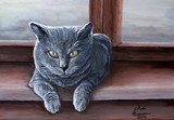 by Judy Kirouac