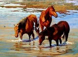 by Calin  Bogatean