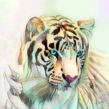 by Vicki Pelham