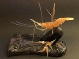 by Tak-Sek Chan