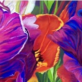 by Anna Beveridge