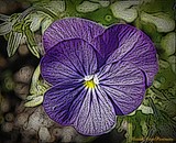 by Elizabeth Coxwell