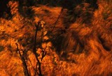 by Diponkar Banerjee
