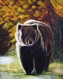 by Diane Howe