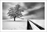 by Yvon Buchmann