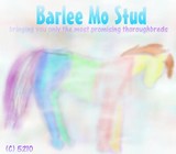 by Brizzy Rocks Myfuzzypinksocks