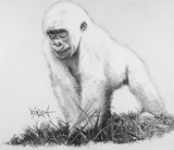 by woody welch