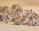by Grant Netherlands