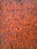 by Patricia Fontinelli