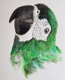 by Melanie  Smith