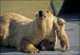 by Harry Eggens