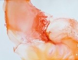 by Amber Lamoreaux