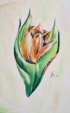 by Angel Hatton