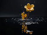 by Mihaela B