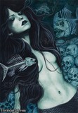 by Rebecca Sinz