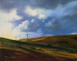 by Michael Hodgkins