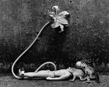 by Balz Bietenholz
