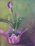 by Julieanne Hall