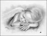 by Katerina Koukiotis