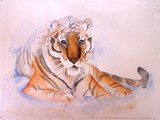 by paulette rygiel
