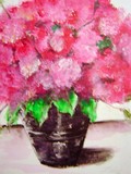 by JANIE THOMPSON-LIDE