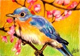 by Terri Walker