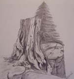 by Stephanie Foshee