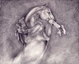 by veronica isaac