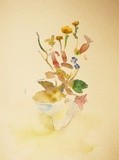by Ilinska Sofie-Natalie