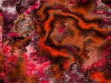 by Cathy Imler