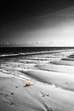 by Dave Noon