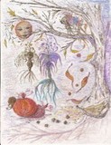 by Natasha Schmitz