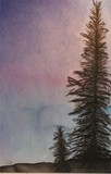 by Pamela Tweton