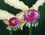 by Colleen Williams