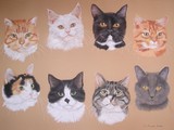 by Joanne Simpson-Connor