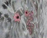 by Kristy Hawkes