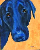 by Ileen Kaplan