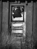 by Andy Maben