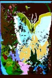 by Barry Huyett
