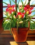 by Susan  Dehlinger