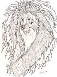 by Lohith N Kesarmadu