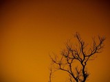 by Rohit Shrivastava