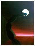 by Jose  Pedro