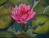 by Sandy Dewar