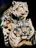 by Barbara Keith