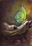 by Natalja Picugina