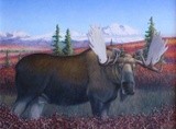 by Dan Mills