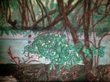 by Jo-Ann Hayden