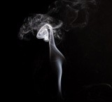 by Yasser Abou el ezz